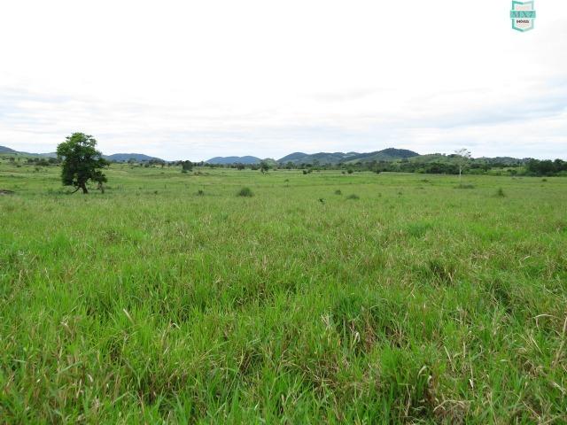 Gongogi - Fazenda pecuária de 655 Hectares toda formada - Foto 2