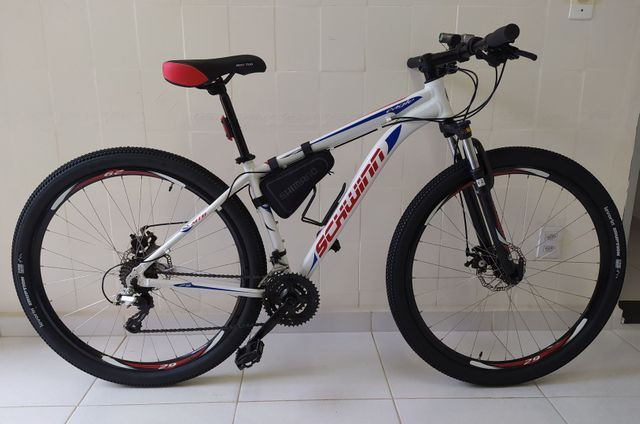 schwinn eagle