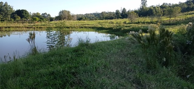 Chácara 2 hectares com açudes  - Foto 3