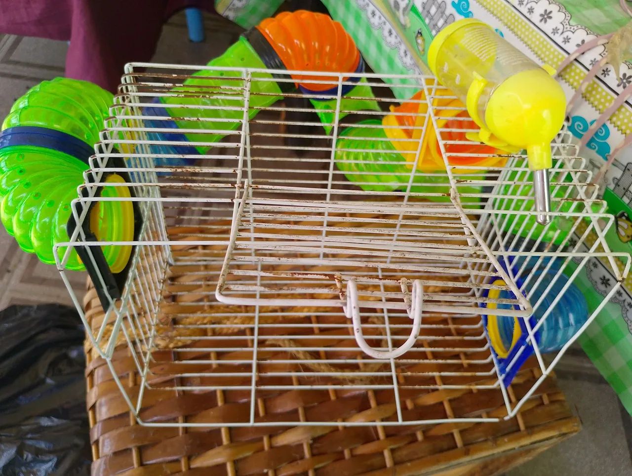 Gaiola para ramister  - Foto 2