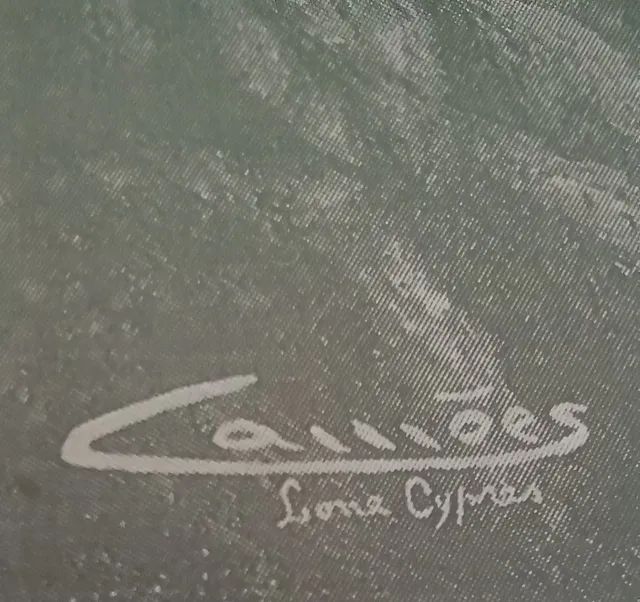 chapa de fotografias Eduardo Camões vista lone Cypress - Foto 6