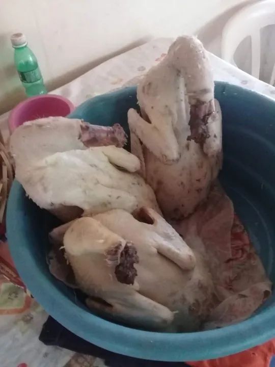Carne de Pato limpo - Foto 2