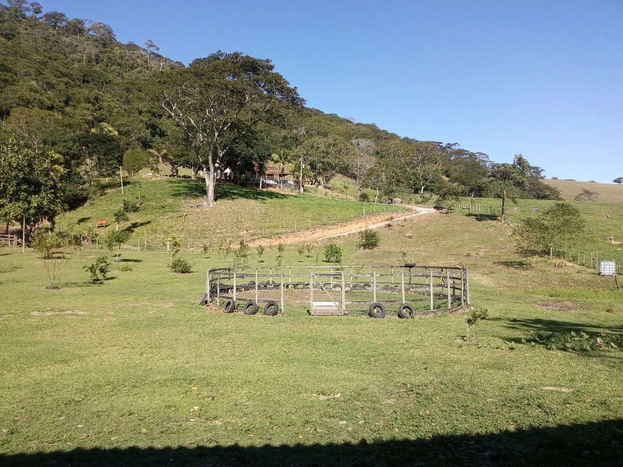 Vendo sítio em Rocha leão - Rio das ostras