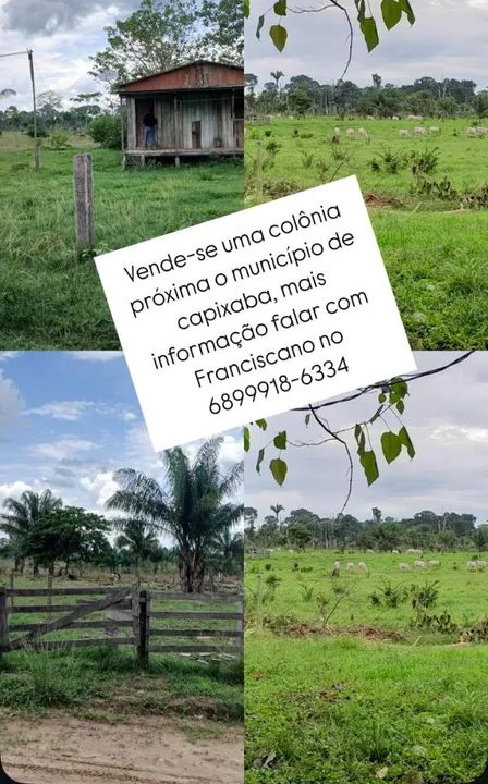 Colônia a venda