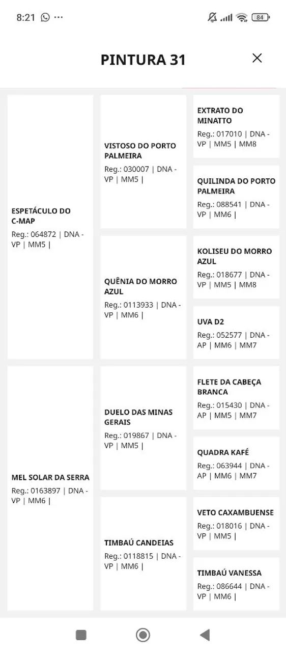 Potro mangalarga machador pampa de preto  - Foto 4