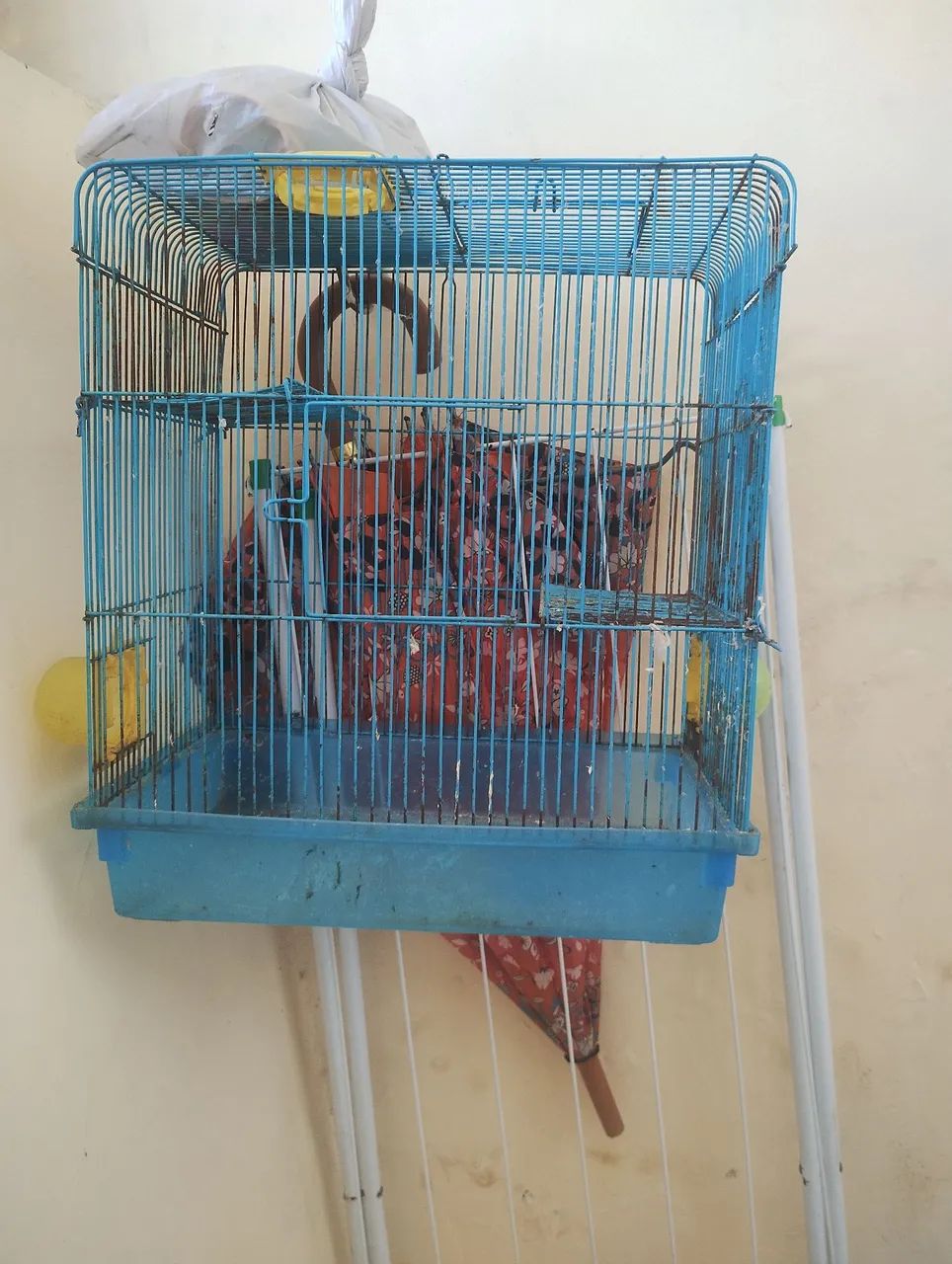  VENDO Gaiola  Tem que limpar tenho dois bebês não tenho tempo