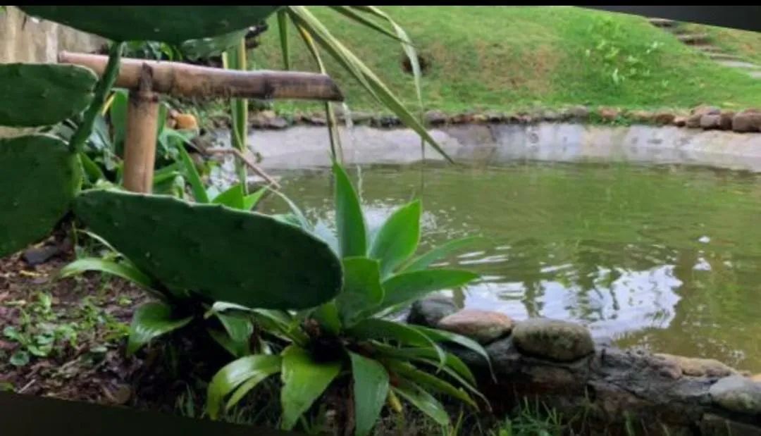 Alugo granja para finais de semana e feriados no Aeroporto  - Foto 10