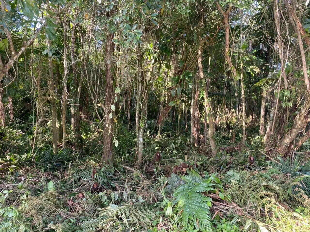 Vendo ou troco terreno em Itanhaém para chácara com 6.990mt2