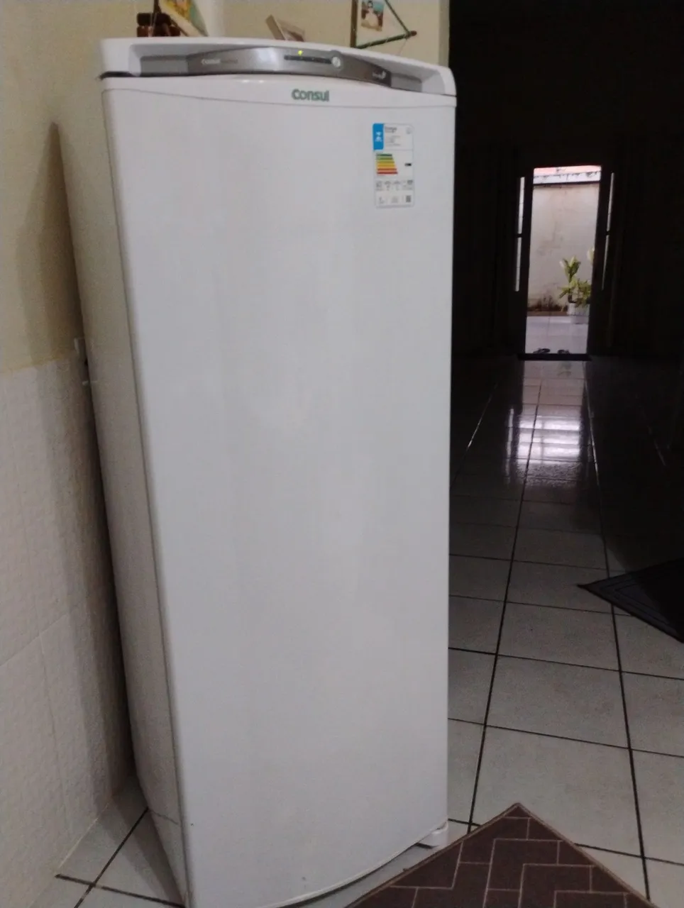 Freezer Vertical Consul