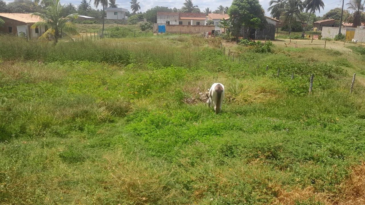 Foto - Aracaju - Farolândia
