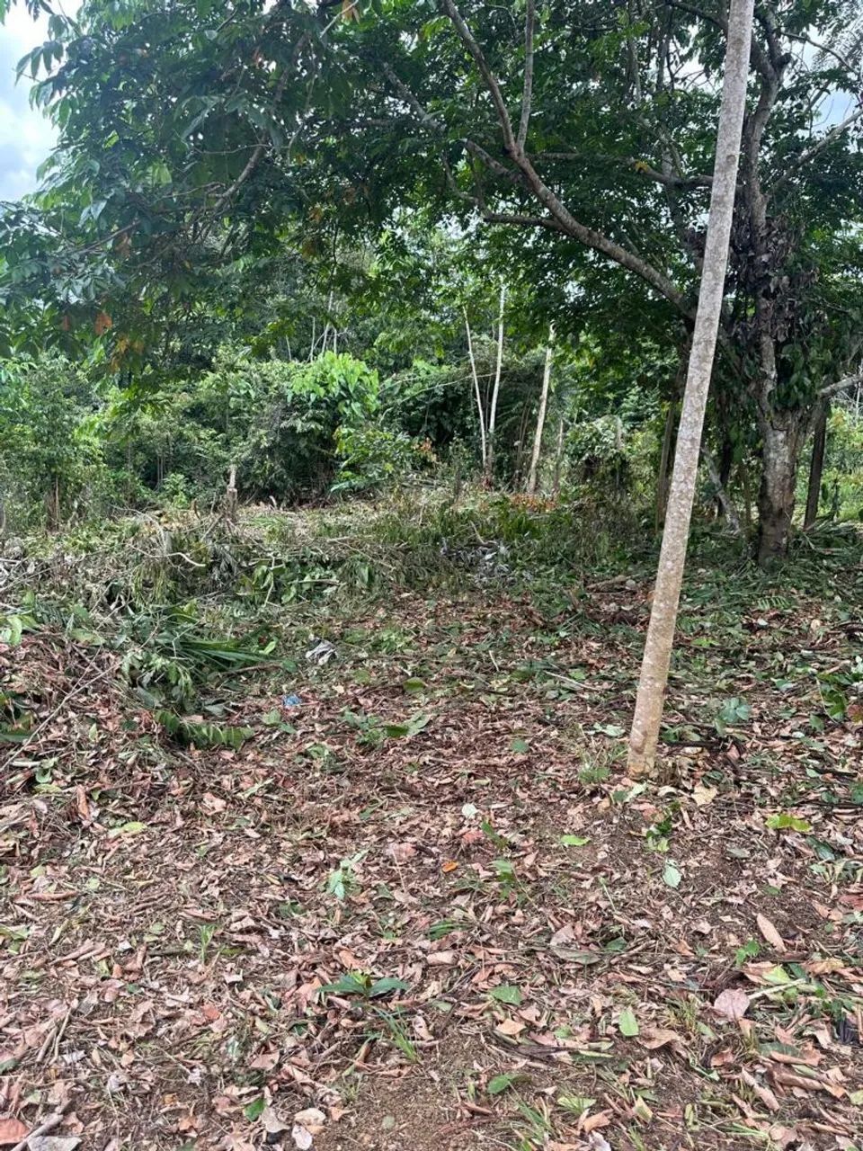 Troco esse sítio por casa  - Foto 3