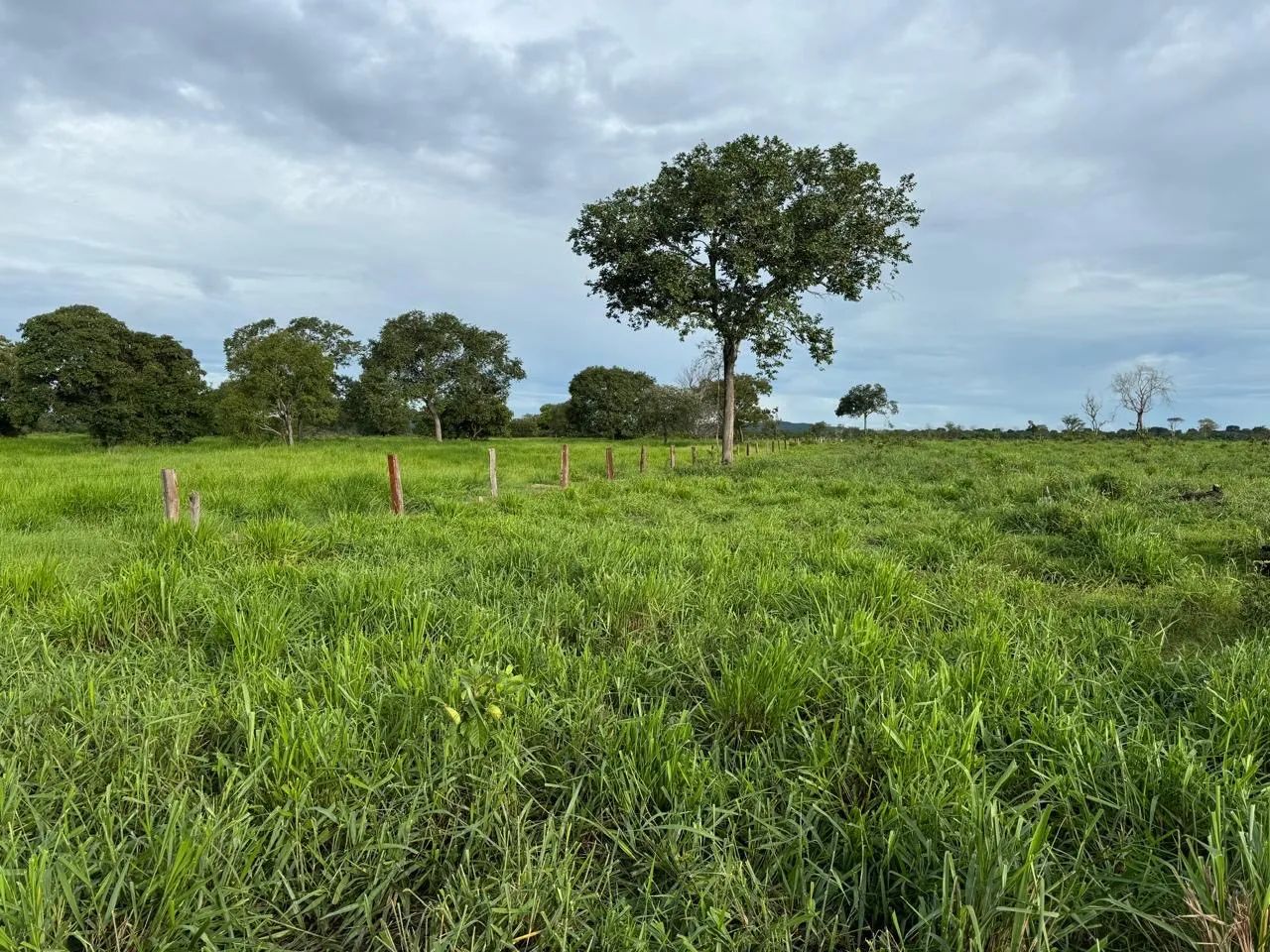 Fazenda em Itacaiu GO/MT - Foto 4