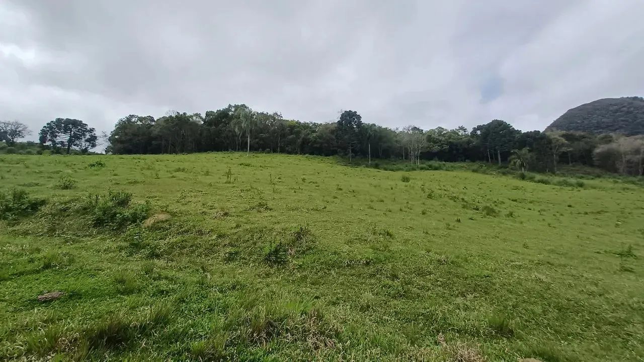 Fazenda/Sítio/Chácara para venda possui 20000 metros quadrados em Pedra Branca - Alfredo W