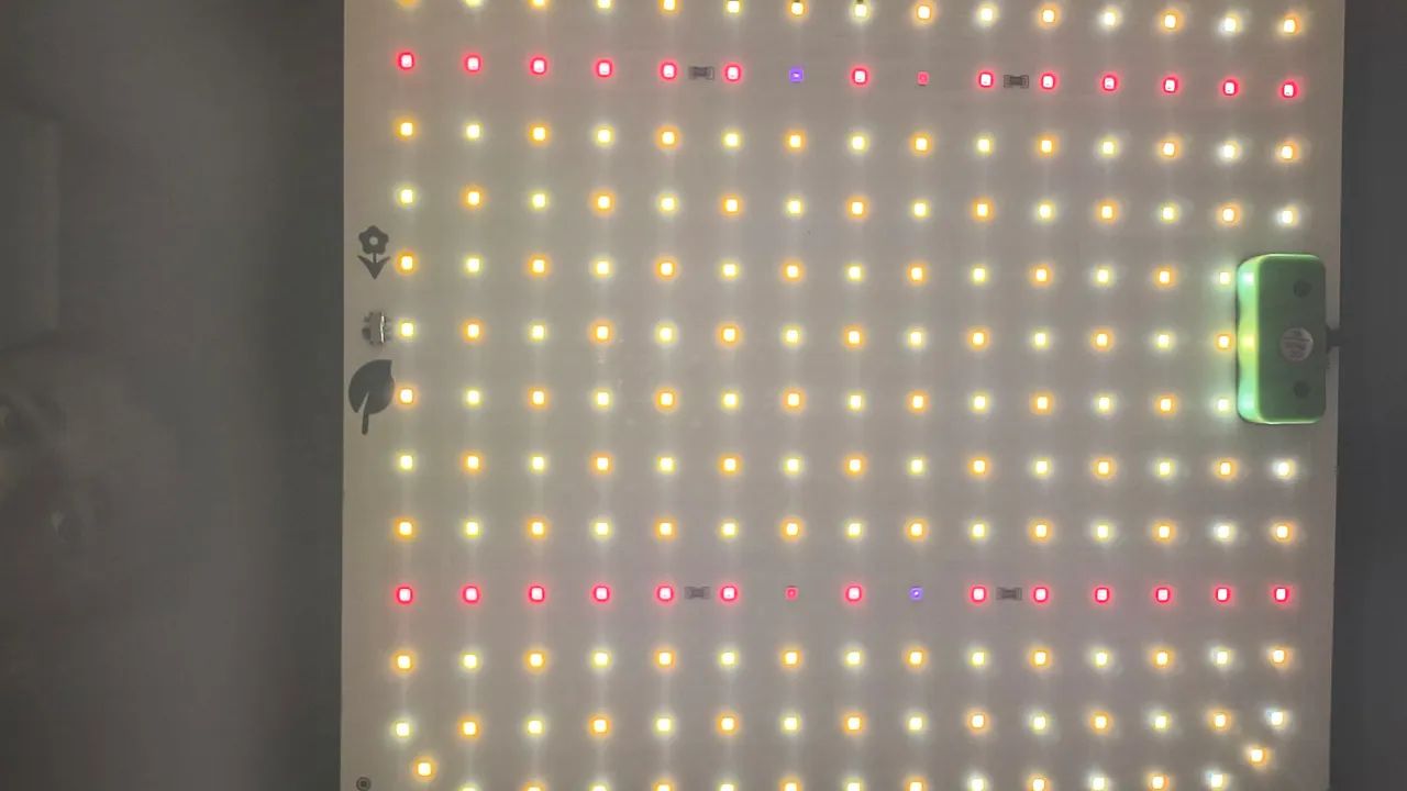 Painel de LED para Cultivo - Foto 5