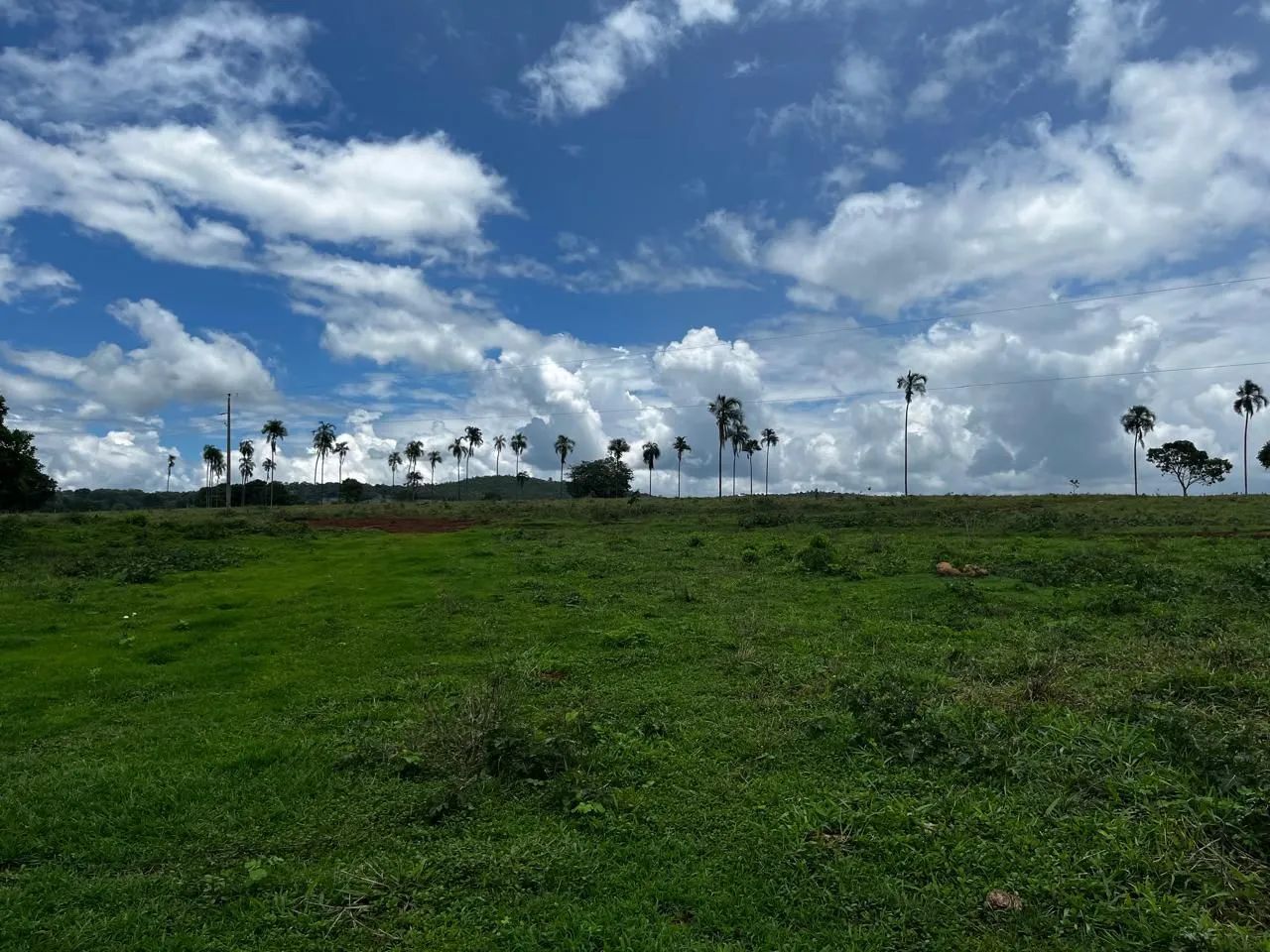 Ótima chácara em novo Brasil GO  - Foto 2