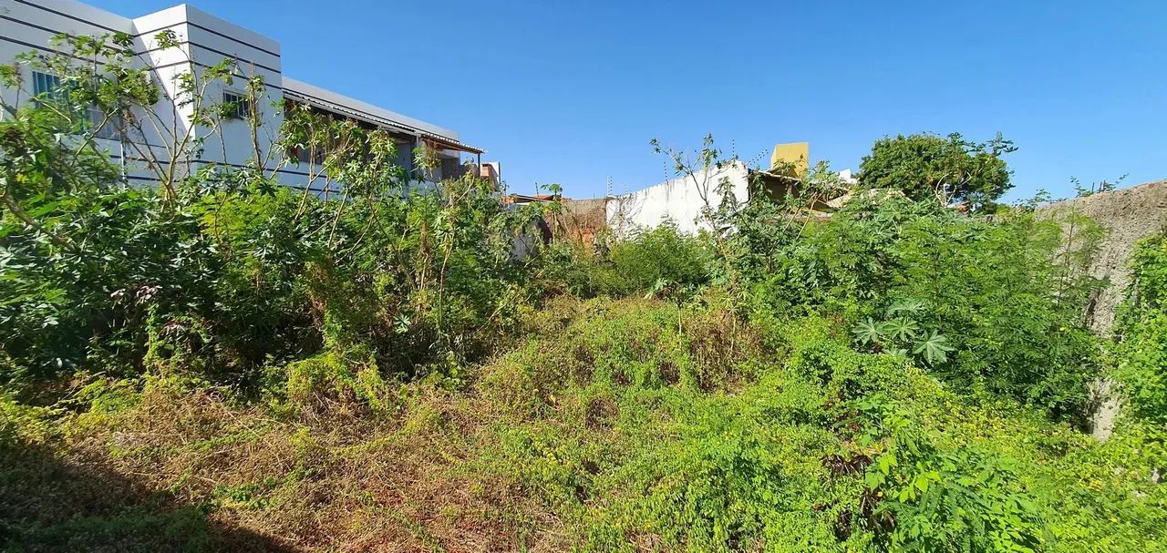 Terreno no bairro Aeroporto medindo 260 m², próximo ao colégio Celebridades. - Foto 4