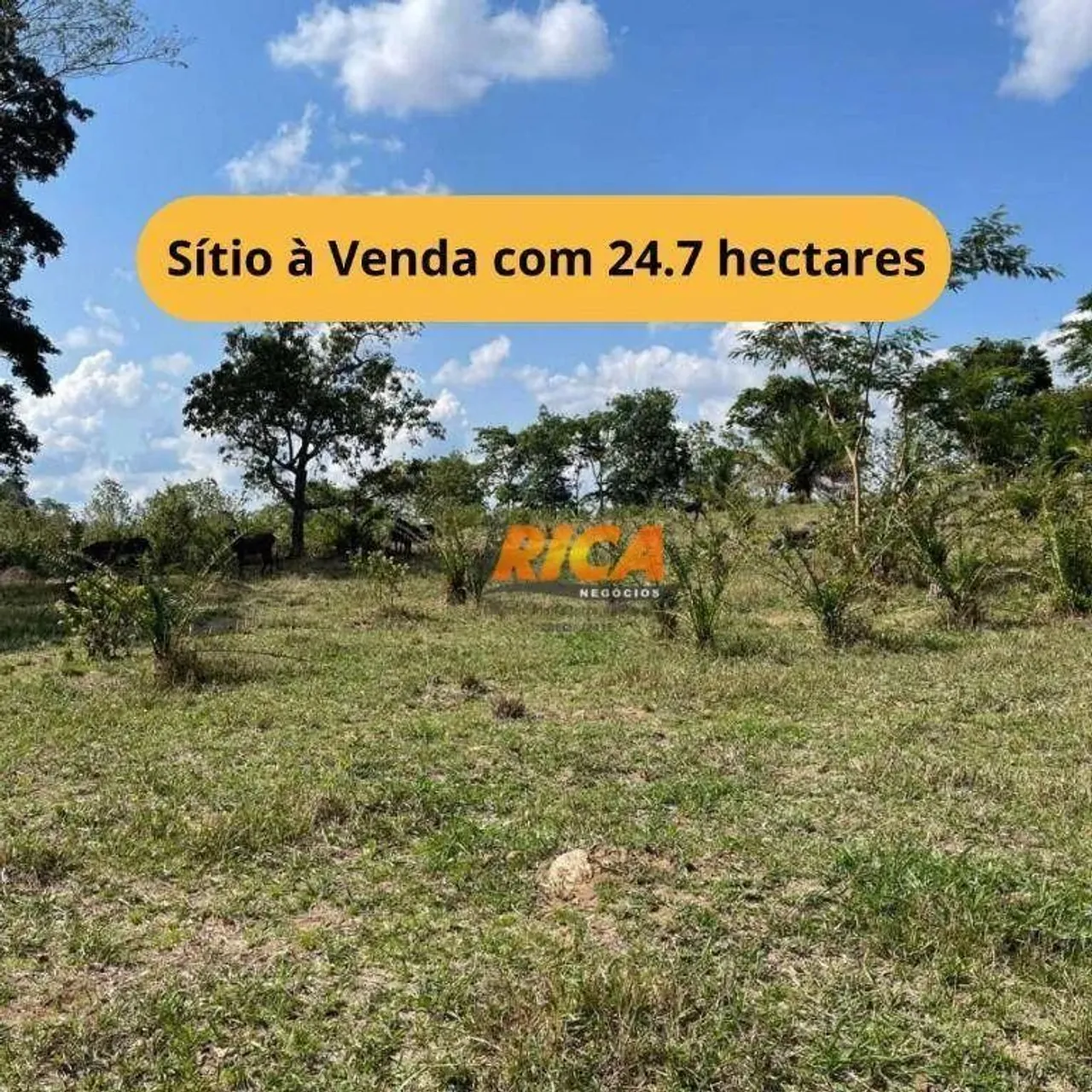 Vende-se Excelente Sítio em Ouro Preto do Oeste-RO