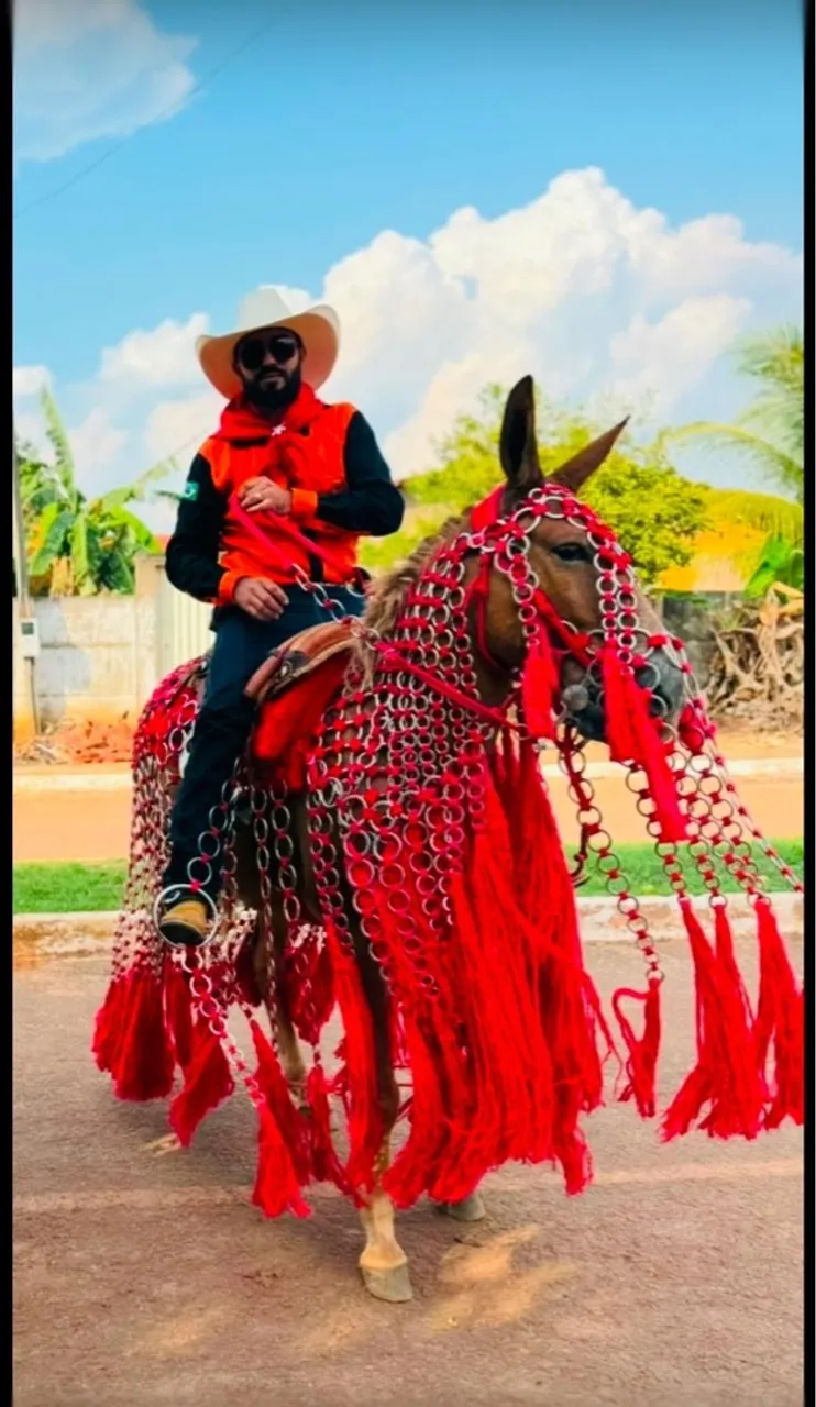 Traia para venda