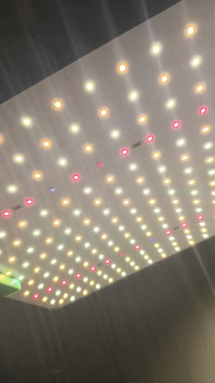Painel de LED para Cultivo - Foto 4