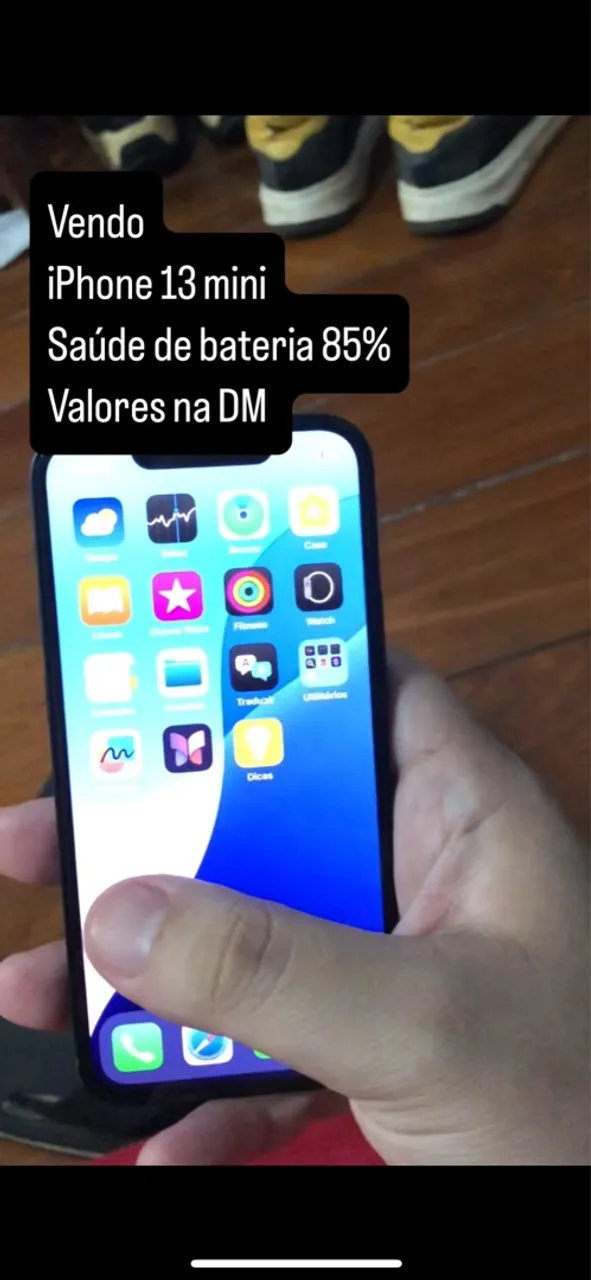 iPhone 13 mini31310019