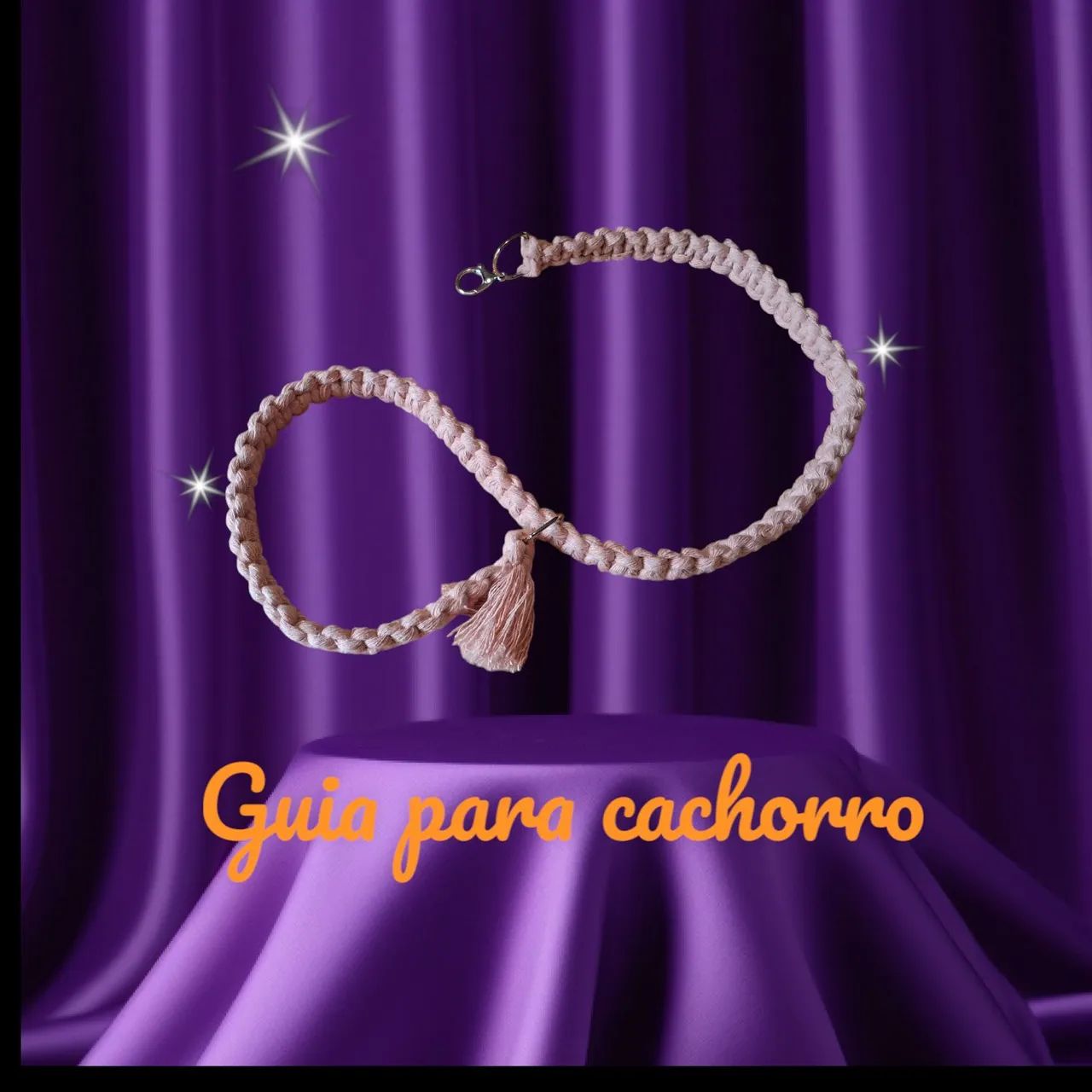 Guia para pets - Foto 5