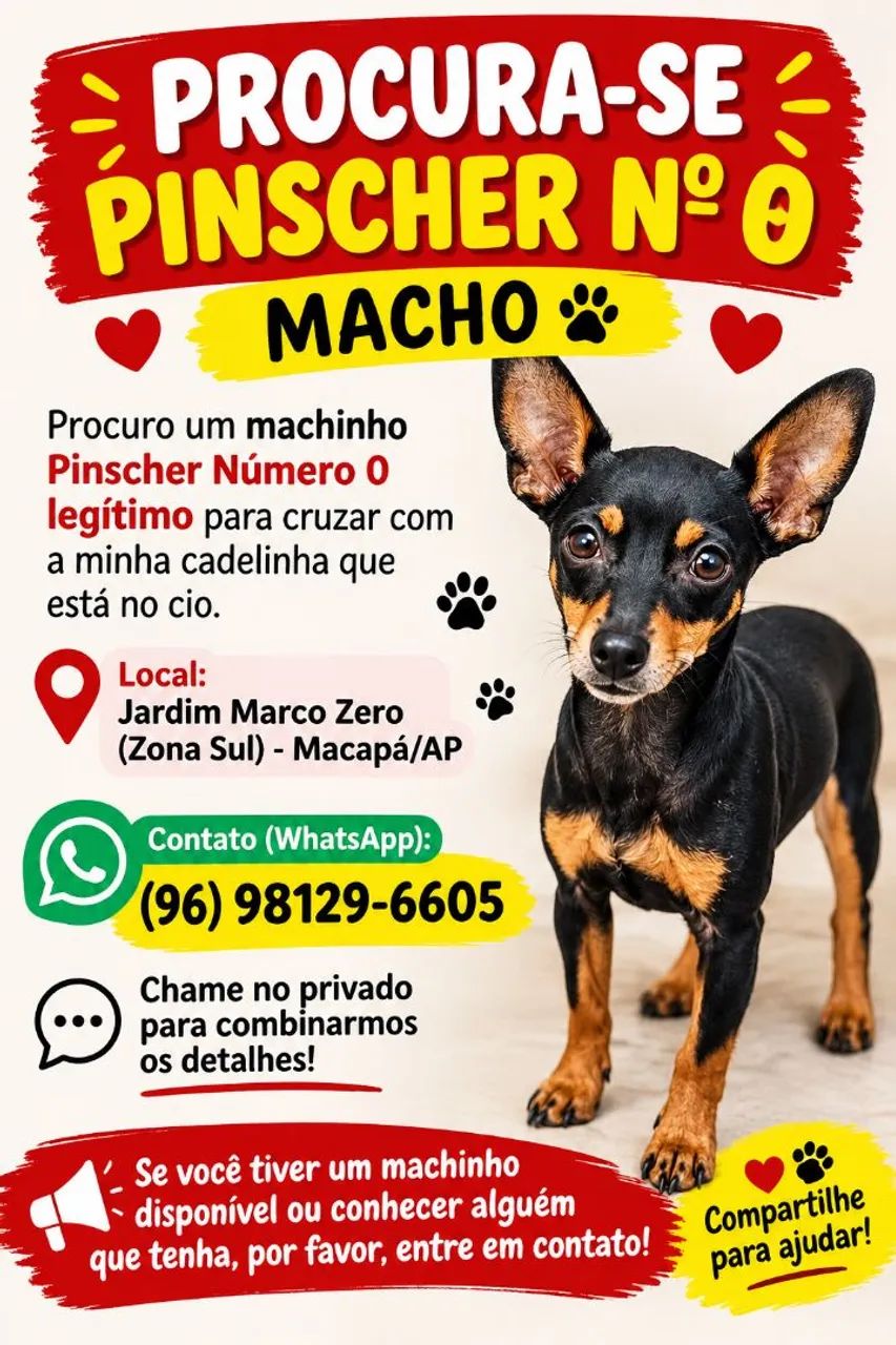 Pinscher 