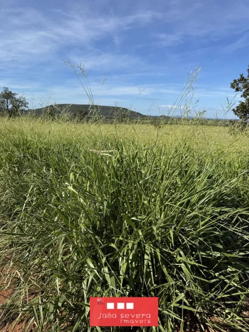Fazenda para Venda em Ponte Alta do Tocantins - Foto 3
