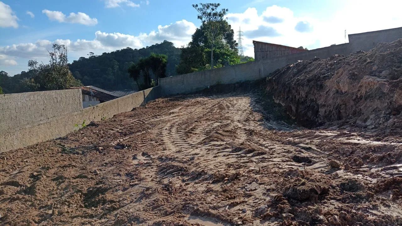 Foto - Curitiba - Bigorrilho