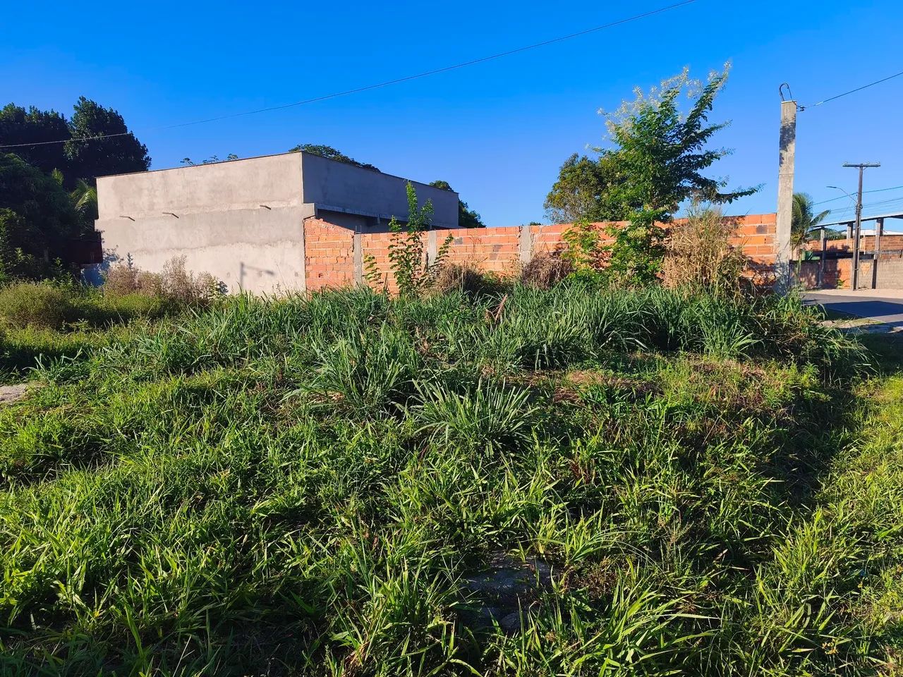Terreno em Salinas da Margarida  - Foto 4