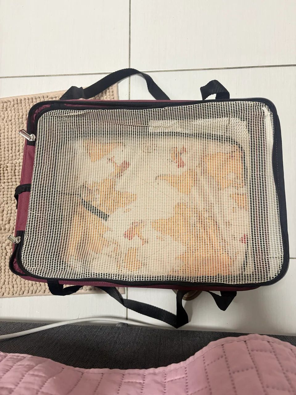 Bolsa para transporte de pet  - Foto 4