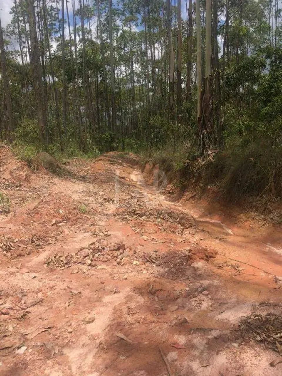 Fazenda - Sítio à venda, Faria - Barbacena/MG - Foto 13