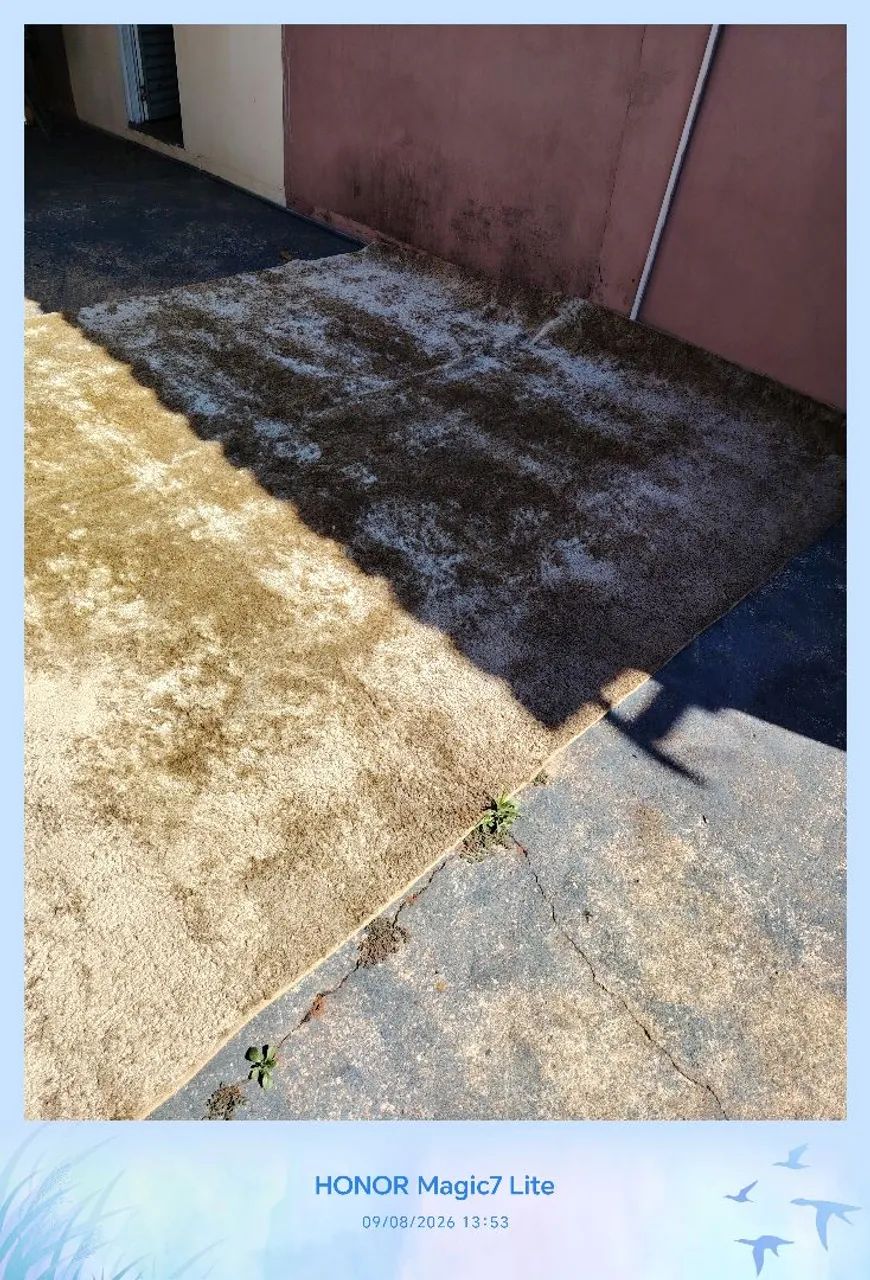 Tapete para sala  - Foto 2