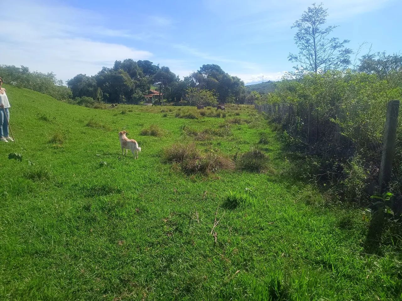 TERRENO 17.760 M2 - Foto 4