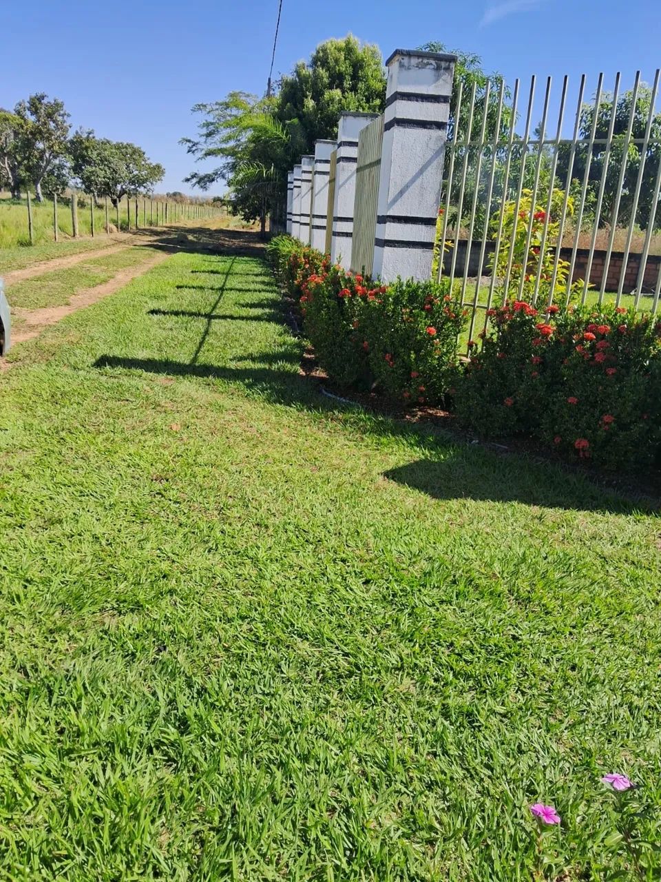 Chácara e venda  - Foto 5