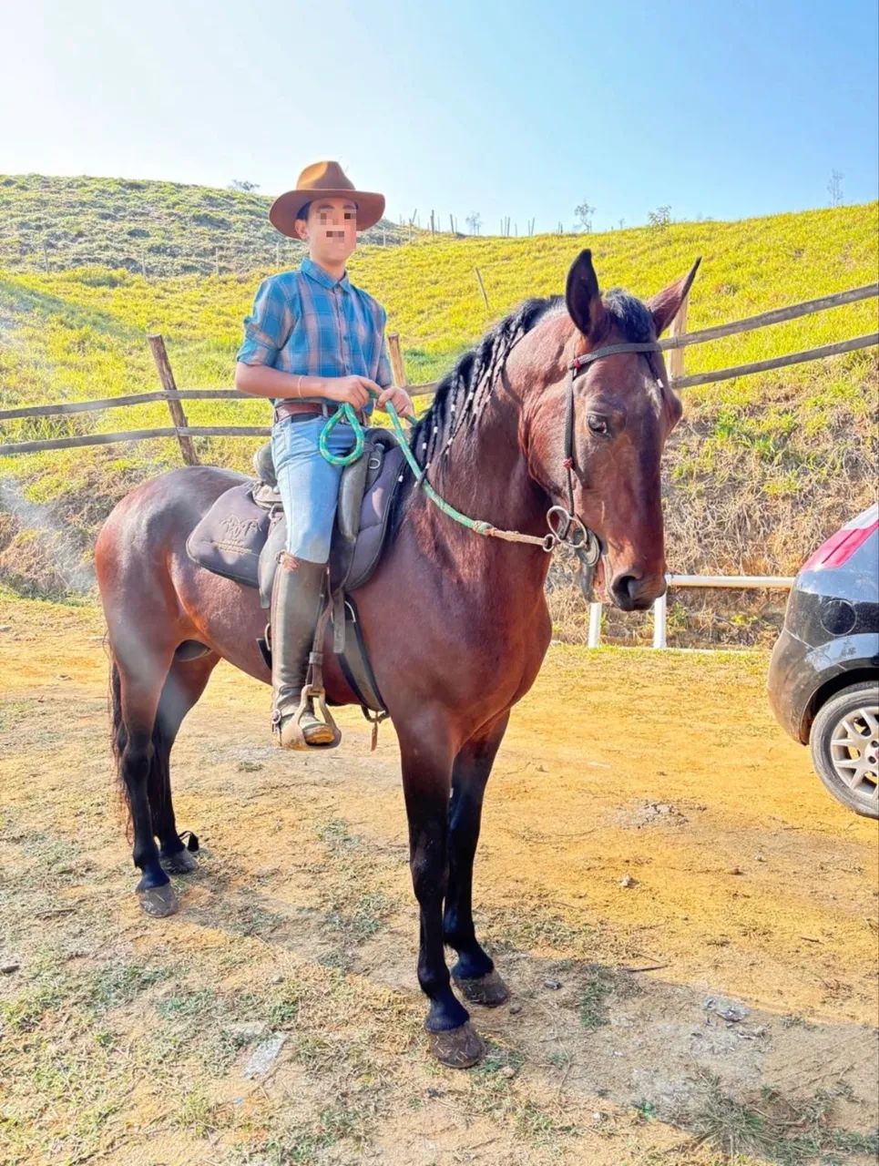 Cavalo mangalarga marchador  - Foto 2