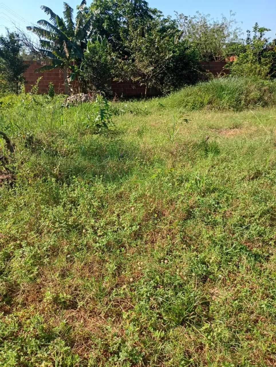 2 Terrenos Juntos a venda 600M²