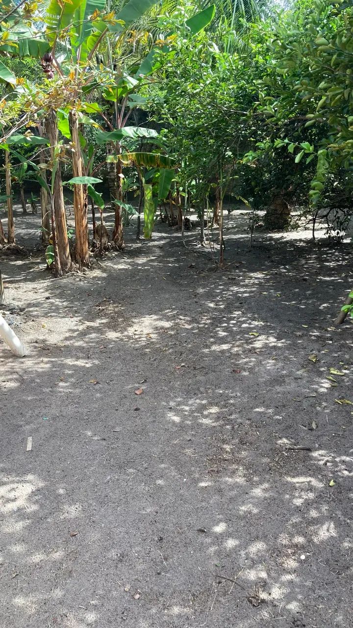 Vende-se um sítio/ chácara  - Foto 5