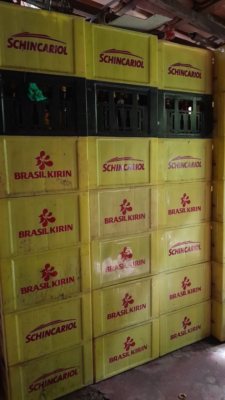 Vasilhames de cerveja 600ml em perfeito estado e padronizados