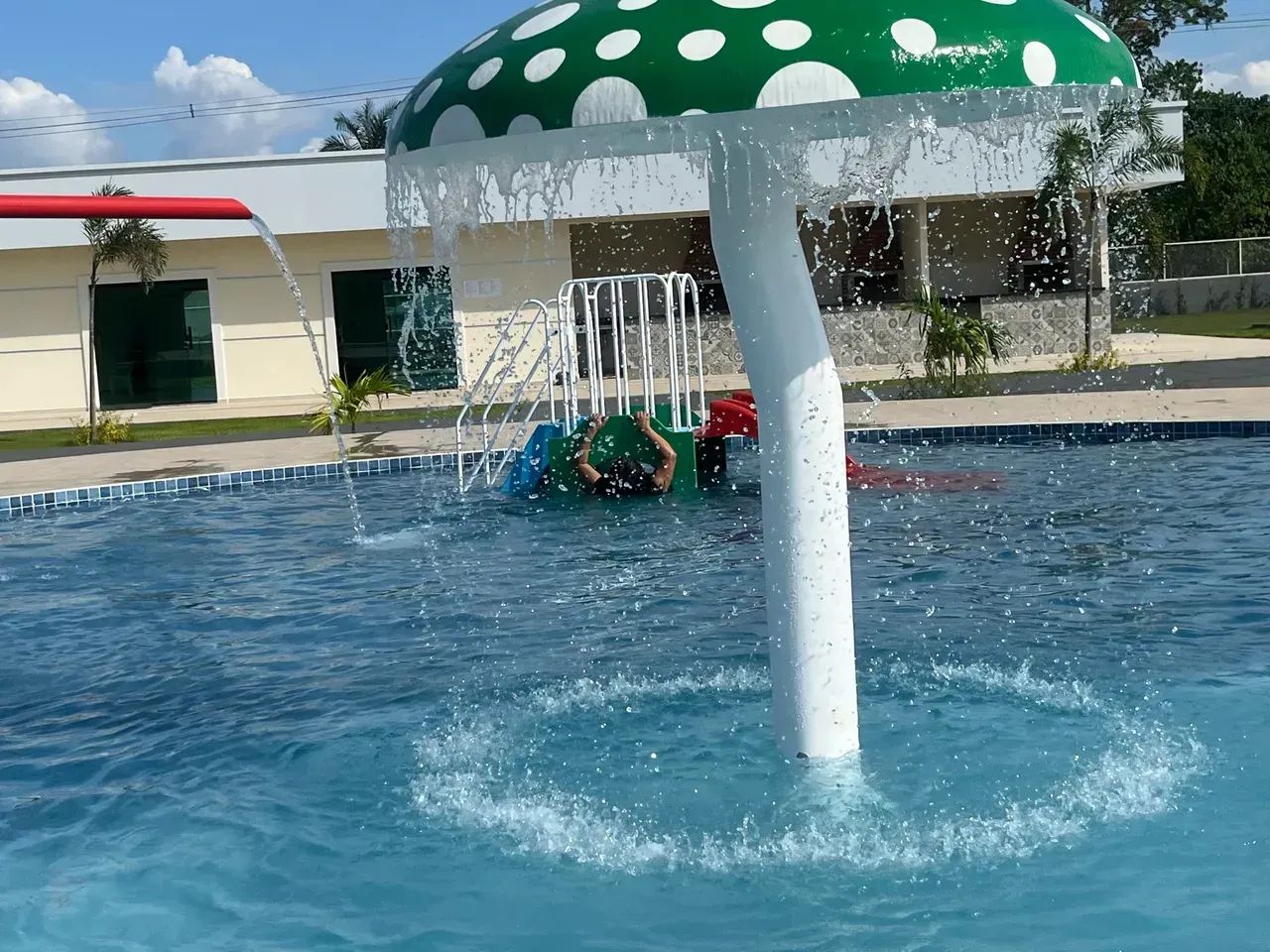 REPASSO -Lotes CHÁCARAS PARQUE REAL - Foto 2