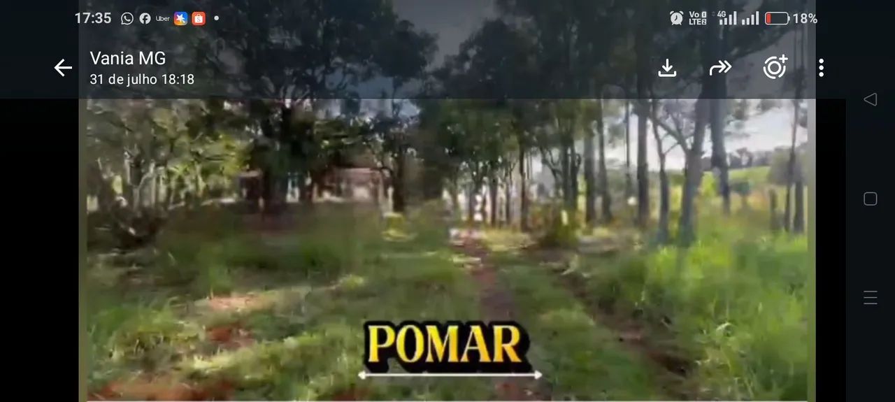 Sítio bem localizado  - Foto 3