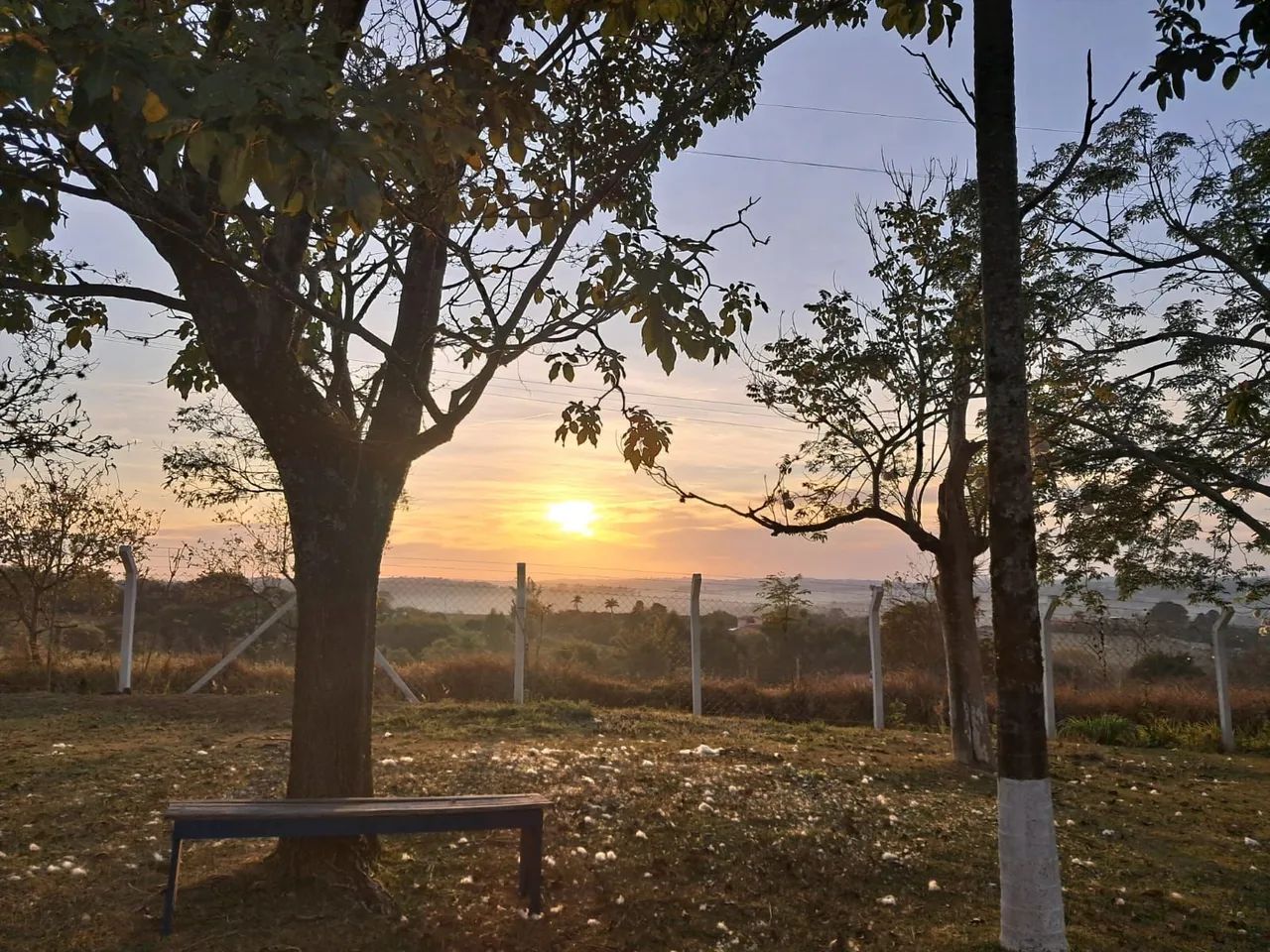 Alugo sítio - Foto 5