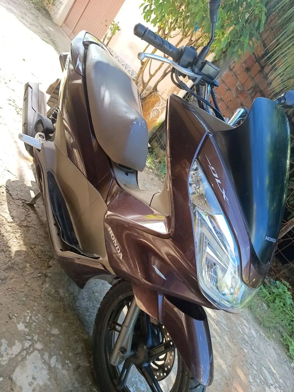Pcx - Foto 2