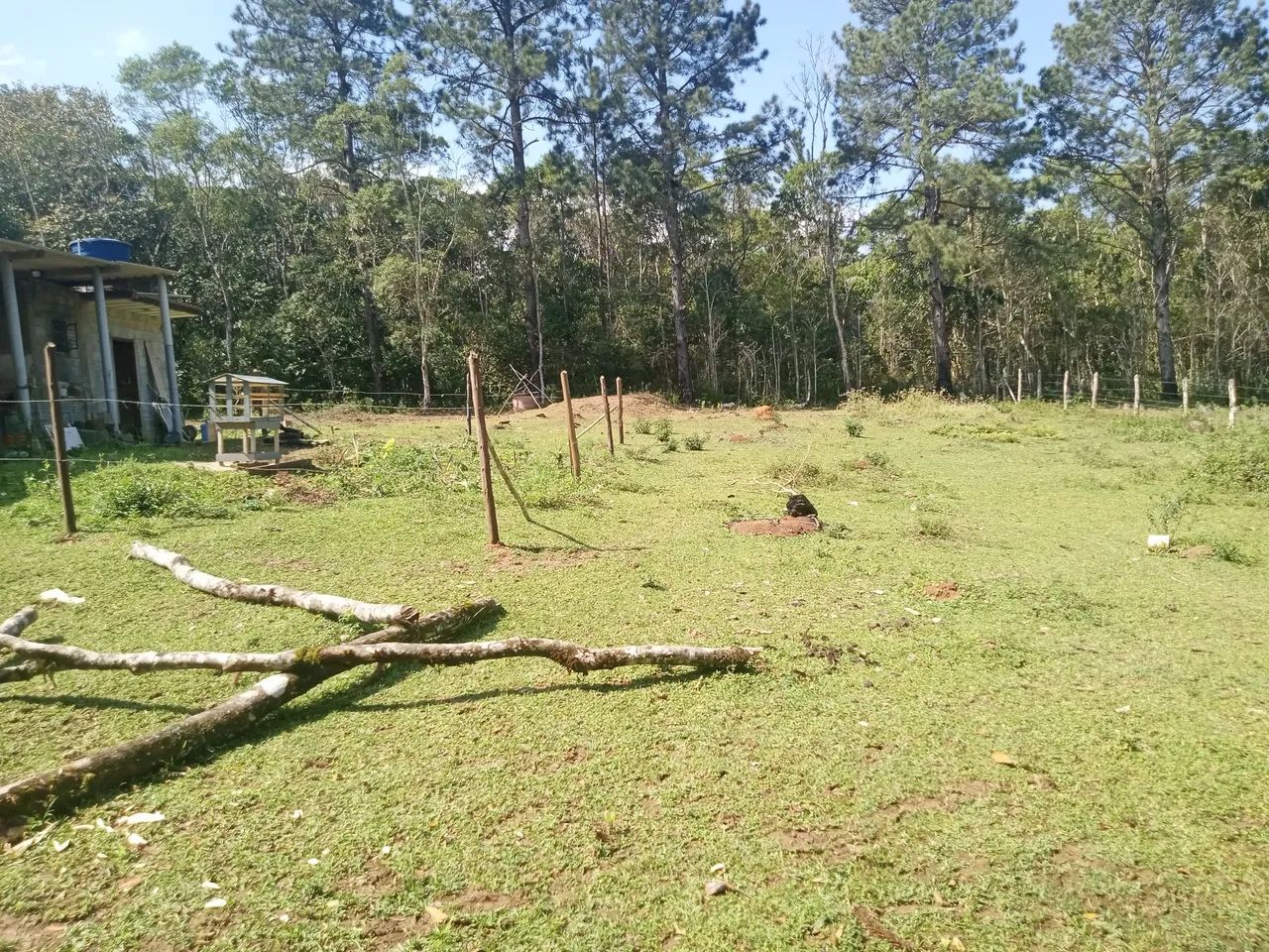 Vendemos terreno 500 metros   valor 50 mil  - Foto 2