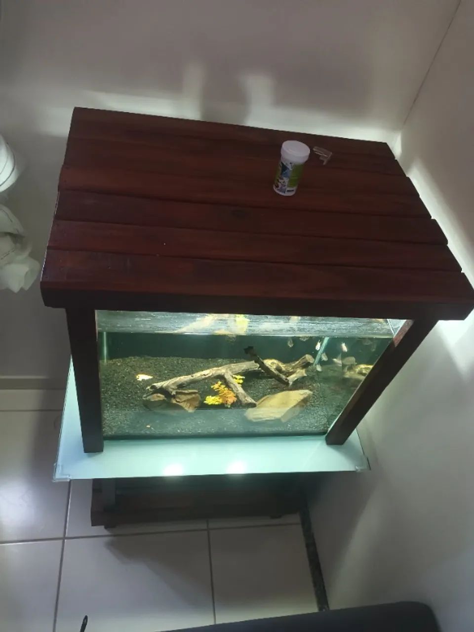 Aquário  - Foto 5