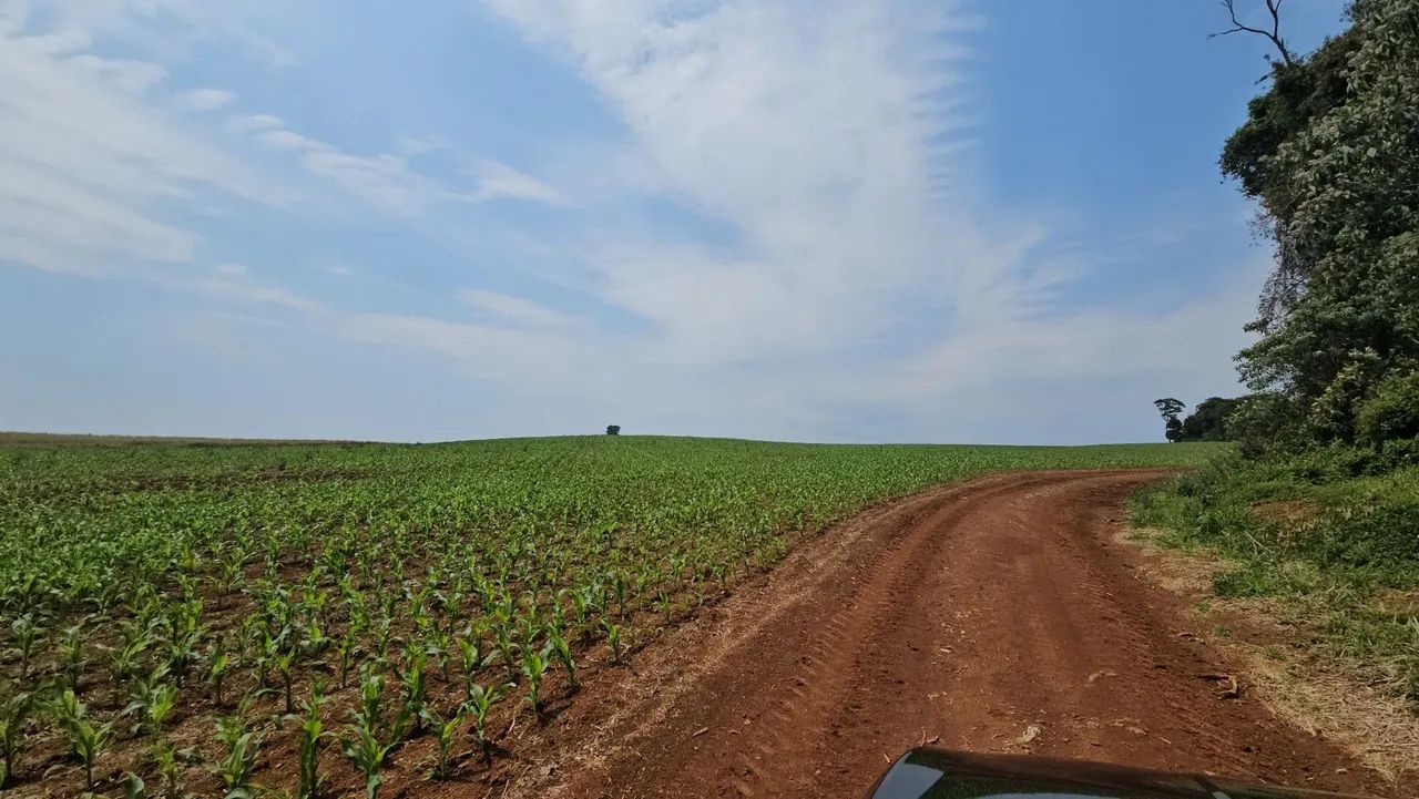 Fazenda em Mangueirinha PR - Foto 3