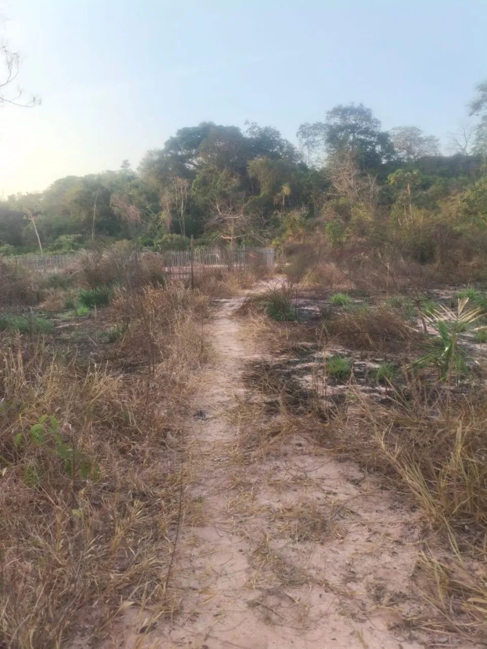 Terreno  - Foto 3