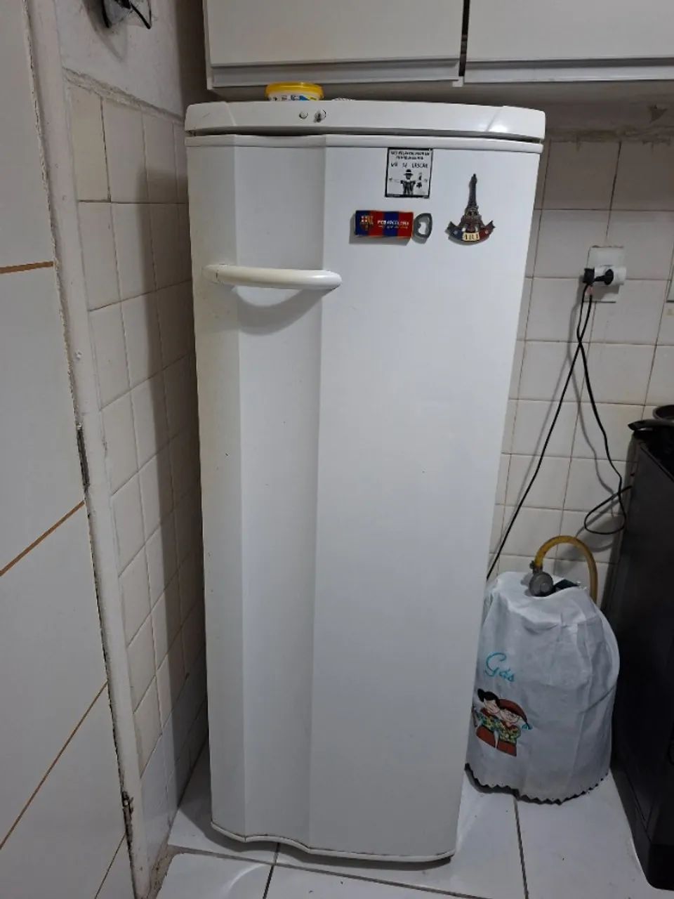 Electrolux Refrigerator65576116418178121