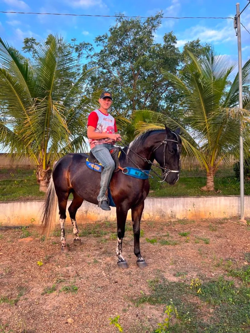 Cavalo Quarto de Milha