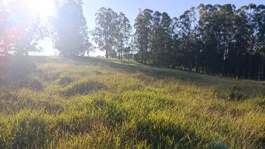 Ótimo sitio no sul de Minas Gerais  - Foto 5