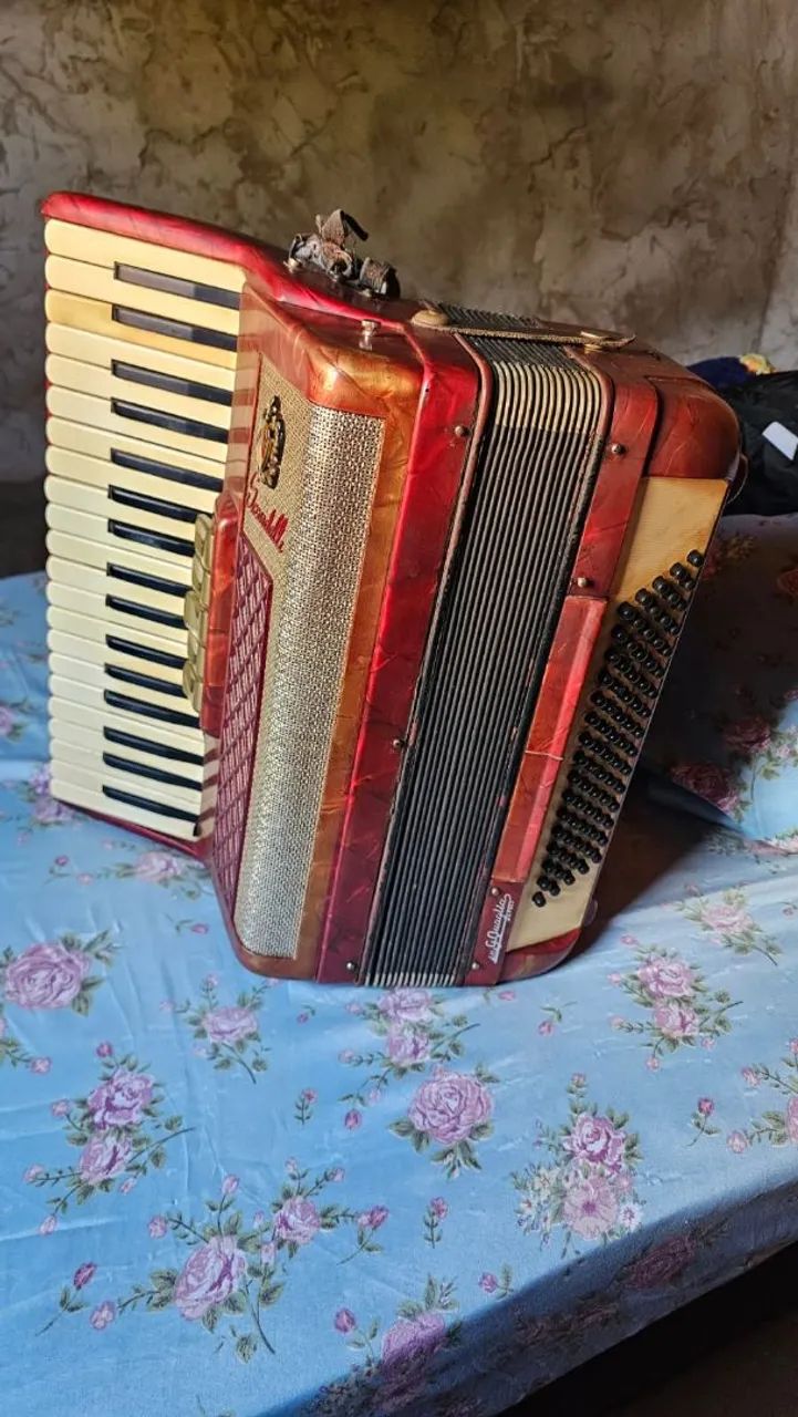 Sanfona  - Foto 3